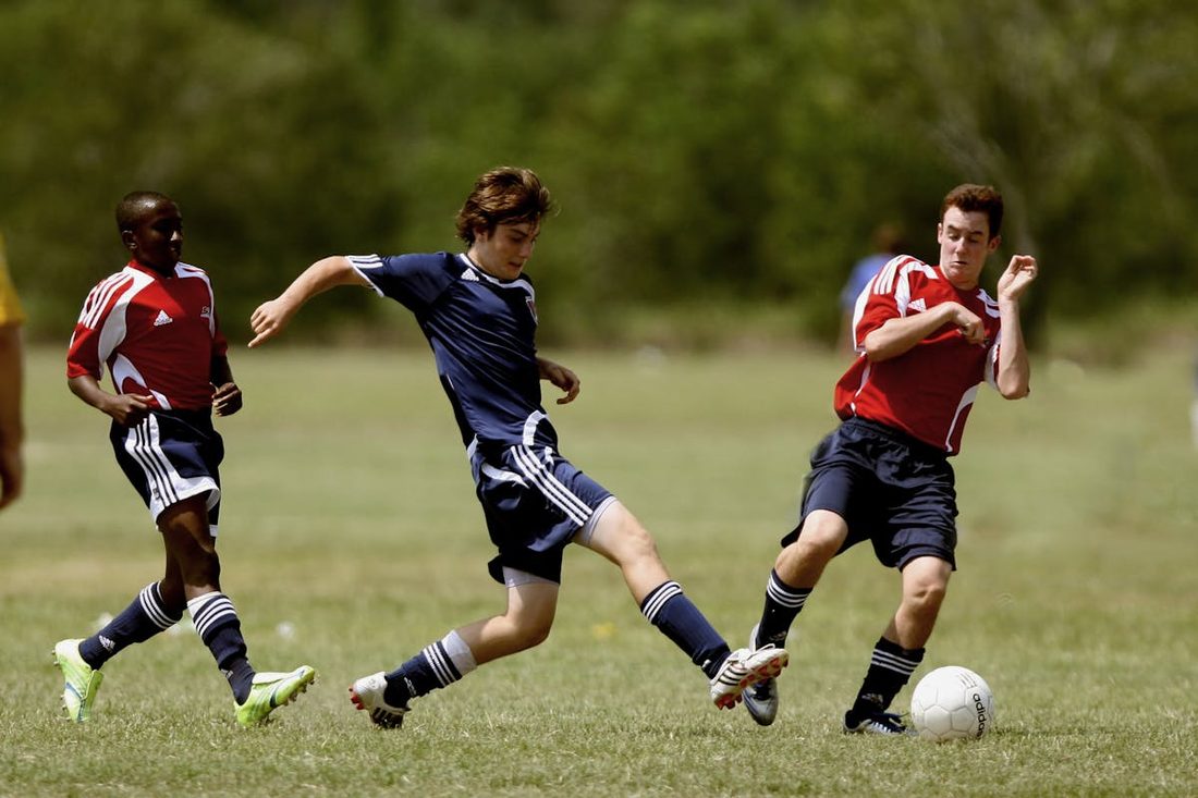 博狗娱乐 · 赛场氛围（资料示意）